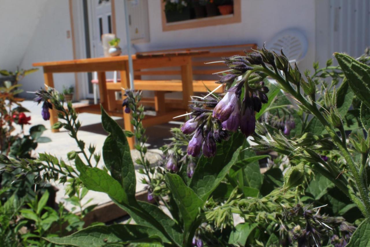 Apartment Mountain Dream Žabljak Екстериор снимка