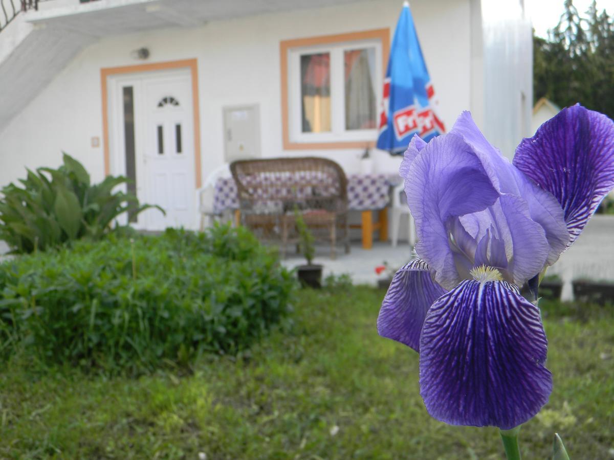 Apartment Mountain Dream Žabljak Екстериор снимка