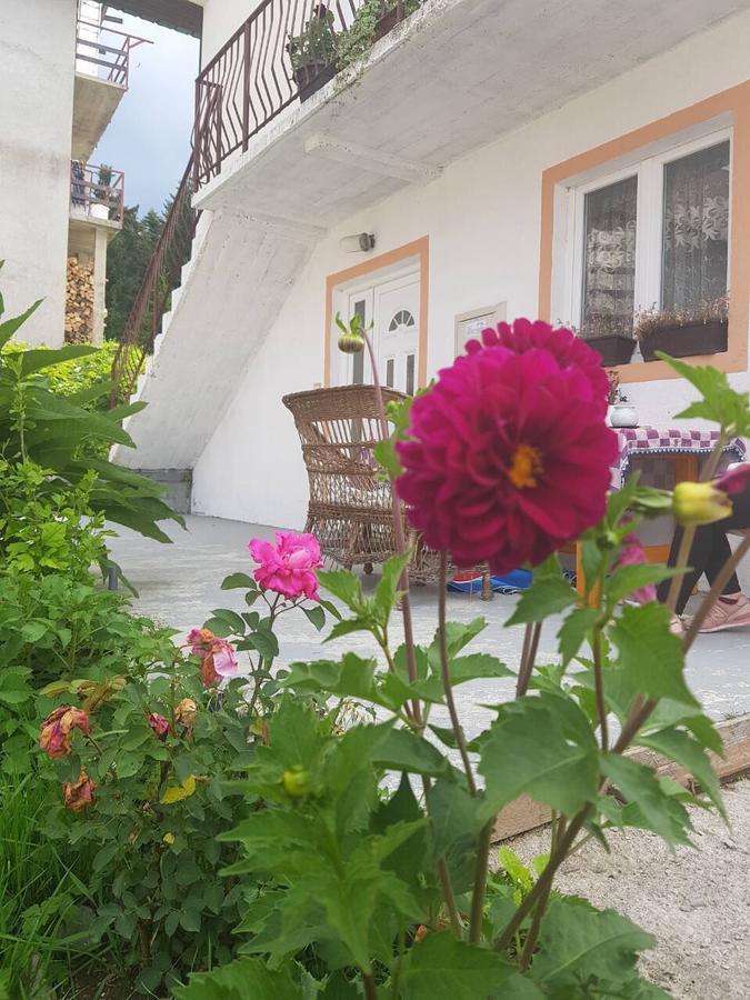 Apartment Mountain Dream Žabljak Екстериор снимка
