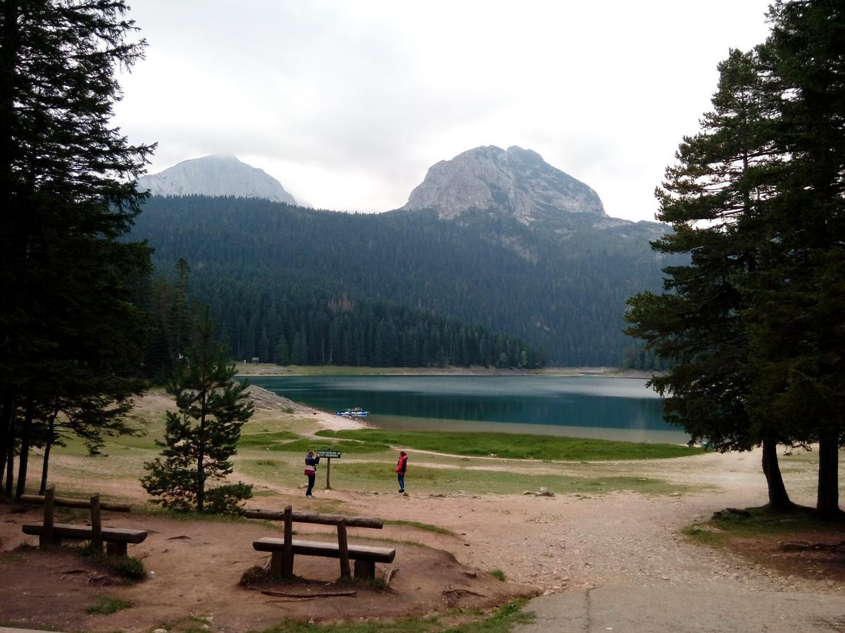 Apartment Mountain Dream Žabljak Екстериор снимка