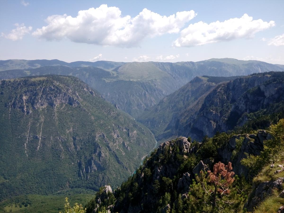Apartment Mountain Dream Žabljak Екстериор снимка